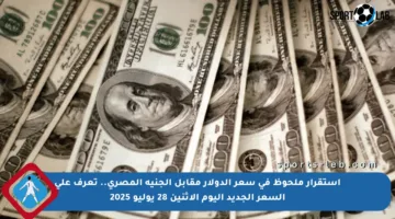 استقرار ملحوظ في سعر الدولار مقابل الجنيه المصري.. تعرف على السعر الجديد اليوم الاثنين 28 يوليو 2025